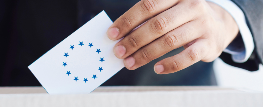 european-election-case-study-clip-news european-election-case-study-clip-news